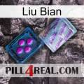 Liu Bian 37